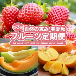 SC0629　【3回定期便】自然の恵み 春・夏・秋フルーツ定期便2026 (2)(いちご、彩りメロン［青肉・赤肉］、柿)