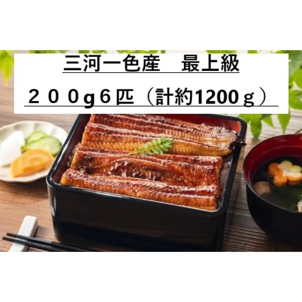 〈三河一色産うなぎ〉超特上6匹（計1200g） 老舗 和食 魚兼 国産 高級 土用の丑