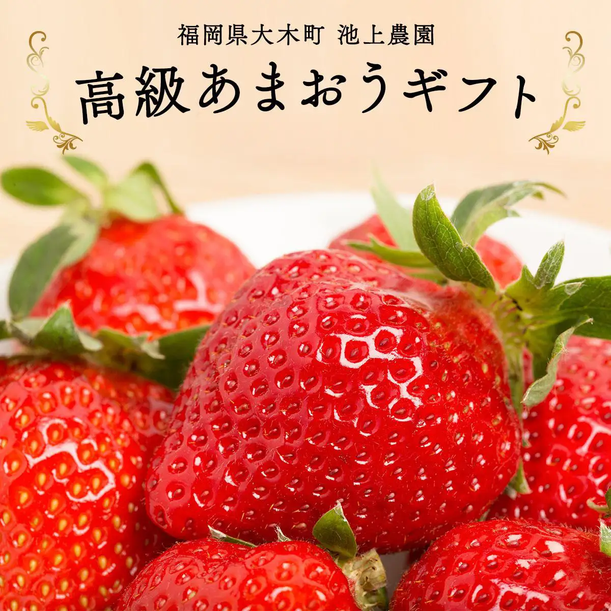 【ふるなび限定】桐箱入り高級あまおうギフト(9～15玉)450g いちご  苺 FN-Limited-SP BD015