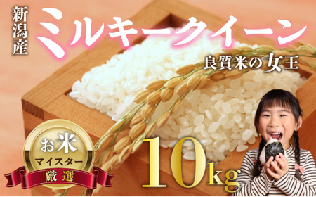 【先行予約】 令和7年産 ミルキークイーン 10kg ご飯 備蓄 コメ お米 米 こめ しんまい 新潟産 新潟米 新潟県 新潟 新発田 新発田市 国産 新発田市産 斗伸 toushin016_02