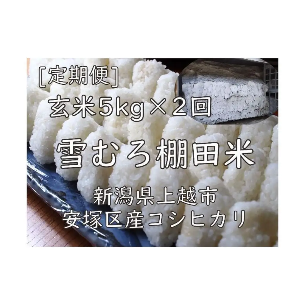 棚田米 コシヒカリ 玄米 コシヒカリ 5kg 毎月2回【定期便】