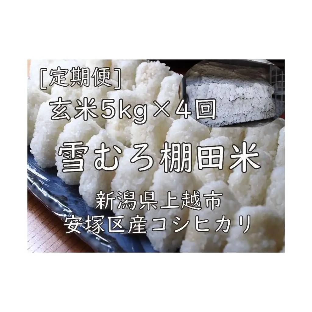 棚田米 コシヒカリ 玄米 コシヒカリ 5kg 毎月4回【定期便】