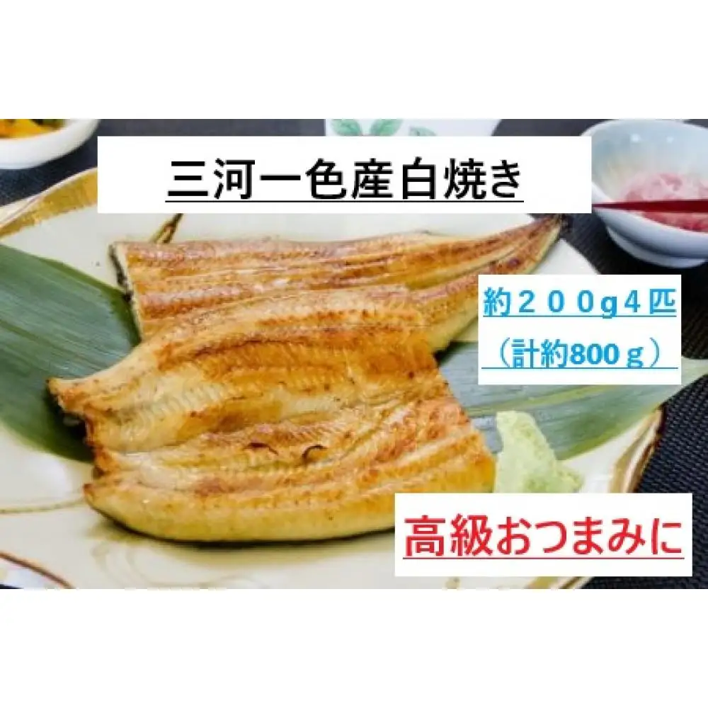 ＜三河一色産うなぎ＞　最上級白焼き　おつまみにどうぞ！　４匹（計約800ｇ） 土用の丑