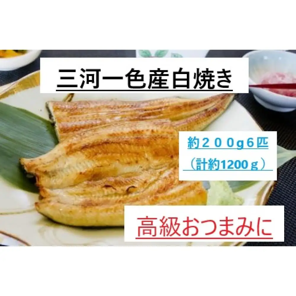 ＜三河一色産うなぎ＞　最上級白焼き　おつまみにどうぞ！　6匹（計約1200ｇ）  土用の丑