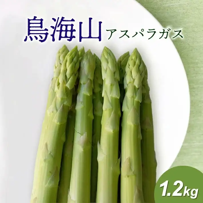 鳥海山アスパラガス 1.2kg 2026年3月下旬～8月下旬頃お届け 山形県遊佐町産 冷蔵便 ※離島発送・着日指定不可 野菜 アスパラ グリーンアスパラガス 農家直送 産地直送 山形県 遊佐町 庄内 春 夏 [1591]