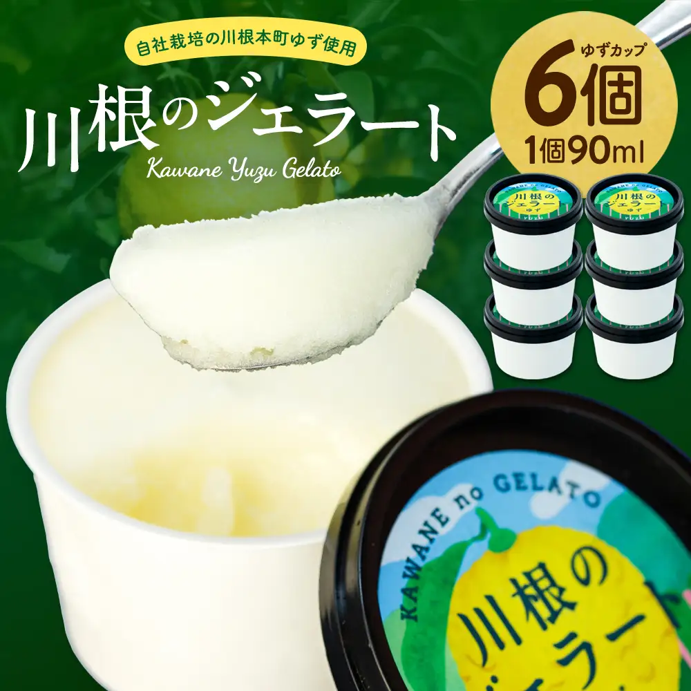 11-81 ゆずジェラート（1バルク 2000ml）