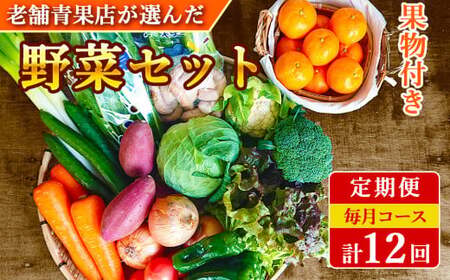 【定期便 12回コース】野菜のプロ40年が届ける 厳選野菜セット！ 野菜・フルーツ 15～16品目 詰め合わせ