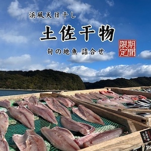 M215 天日干し 手作り干物詰め合わせ地魚セット 無添加土佐干物 期間限定品