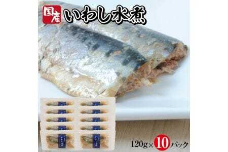 つゆもおダシで使えて2度おいしい「国産いわしの水煮」120g×10パック いわし イワシ 鰯 水煮 常温保存 ご飯のおと おかず おつまみ 小分け 個包装 [789]