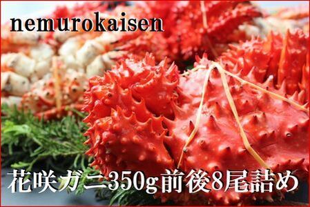 【北海道根室産】花咲ガニ350g×8尾 C-57048