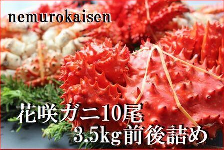 【北海道根室産】花咲ガニ10尾(計3.5kg前後) C-57052