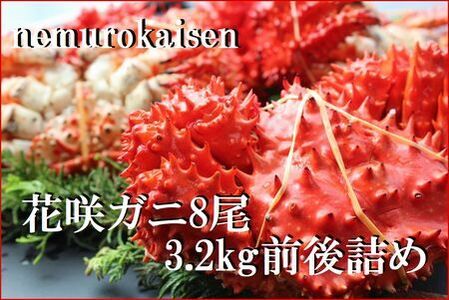 【北海道根室産】花咲ガニ8尾(計3.2kg前後) C-57053
