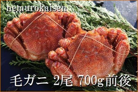 【北海道根室産】毛がに2尾(計700g前後) C-57056