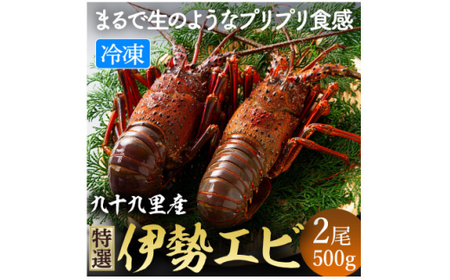 【 先行予約 2026年度発送】 冷凍伊勢海老 2尾 約500g 刺身用