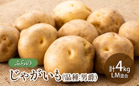 じゃがいも 富良野産 男爵 LM混合 じゃがいも【計4kg】
