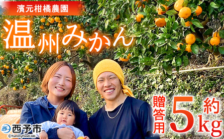 ＜明浜産 温州みかん 約5kg 贈答用＞ 愛媛みかん 農家直送 果物 フルーツ 柑橘 ミカン 蜜柑 S～Lサイズ 贈答 国産 濱元柑橘農園 愛媛県 西予市【常温】『2025年11月下旬から2026年1月中旬までに順次出荷予定』AHK0001