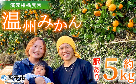 ＜明浜産 温州みかん 約5kg 訳あり＞ 愛媛みかん 農家直送 家庭用 自宅用 ワケアリ 果物 フルーツ 柑橘 ミカン 蜜柑 S～L 濱元柑橘農園 西予市【常温】『2025年11月下旬から2026年1月中旬までに順次出荷予定』AHK0002