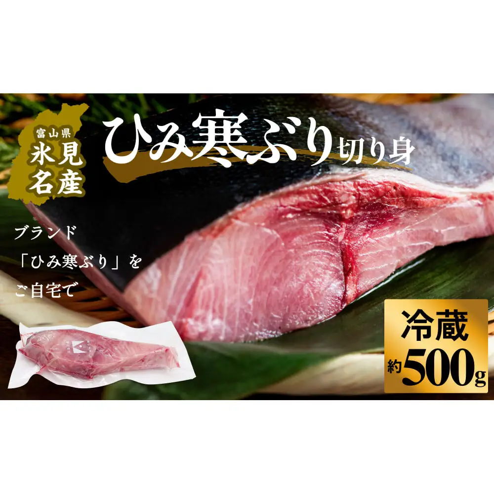 【先行予約】ひみ寒ぶり約500g（切り身）＜冷蔵でお届け＞  富山県 氷見市 ひみ寒ぶり 寒鰤 ブリ 期間限定 切り身 ブロック
