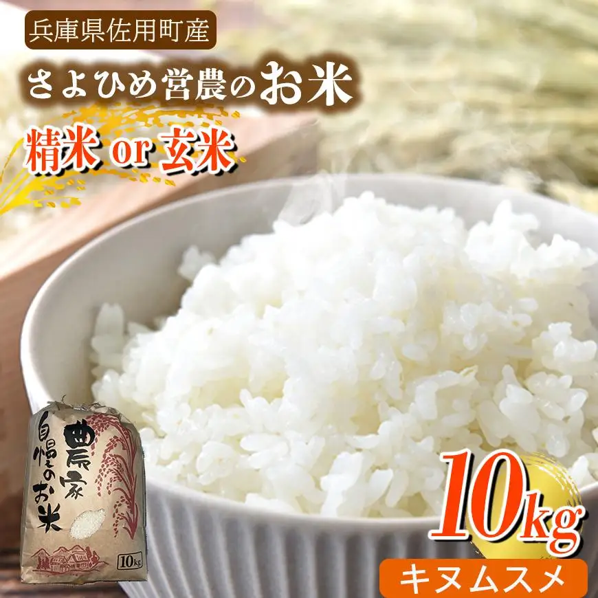【兵庫県佐用町産】さよひめ営農のお米 10kg キヌムスメ/玄米