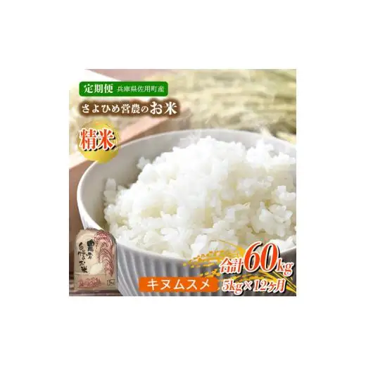 【12ヵ月定期便】兵庫県佐用町産 お米 5kg×12ヵ月 (計60kg)  精米 キヌムスメ