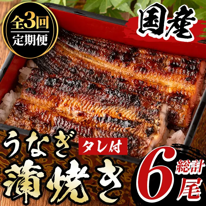 《定期便・全3回》国産！うなぎ蒲焼き(2尾×3回・タレ付き) 国産 九州産 鹿児島県 宮崎県 鰻 ウナギ unagi うな重 うな丼 ひつまぶし うなじゅう 蒲焼 かばやき 無頭 魚 魚介類 土用 丑の日 タレ タレ付 おかず 惣菜 冷蔵 特産品 お土産 ギフト プレゼント ご贈答用 真空パック 湯煎 レンジ 簡単調理 定期 毎月【尾方屋】_y490