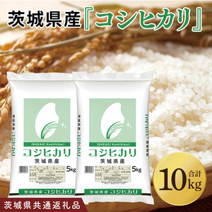 【茨城県共通返礼品】令和7年産 茨城県産 コシヒカリ10kg（5kg×2袋）【お米 米 こしひかり ごはん 茨城県】（03-49-1）