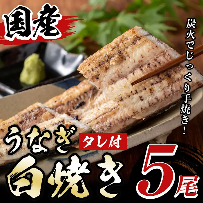 国産！うなぎ白焼き(5尾・タレ付き) 国産 九州産 鰻 ウナギ 無頭 魚 魚介類 かばやき 蒲焼 蒲焼き しろやき 白焼 おかず 特産品 お土産 ギフト プレゼント 冷蔵【尾方屋】_y489