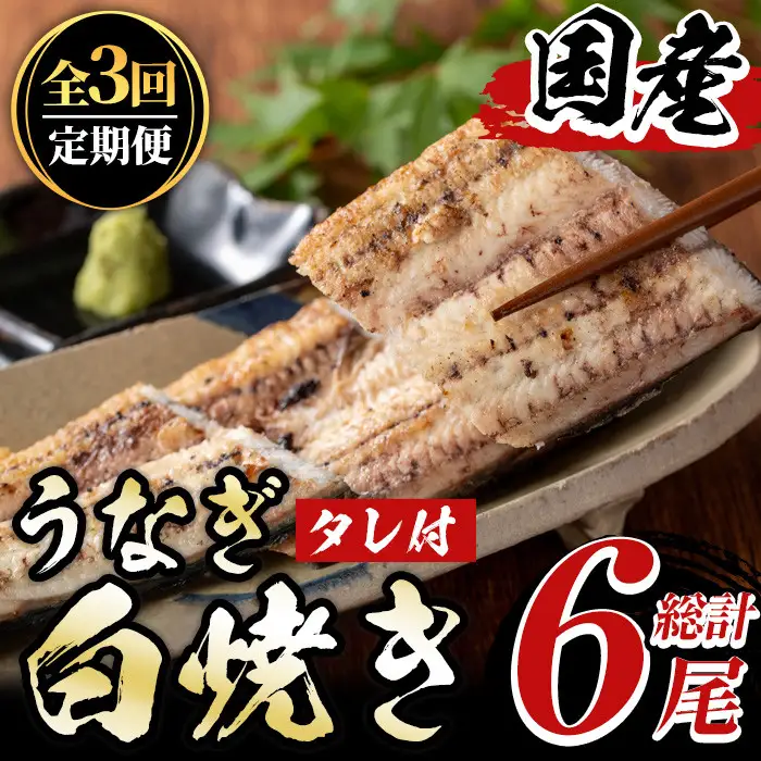《定期便・全3回》国産！うなぎ白焼き(2尾×3回・タレ付き) 国産 九州産 鰻 ウナギ 無頭 魚 魚介類 かばやき 蒲焼 蒲焼き しろやき 白焼 おかず 特産品 お土産 ギフト プレゼント 冷蔵 定期便【尾方屋】_y491