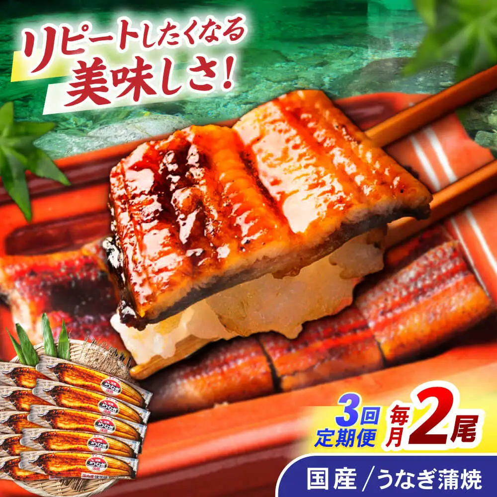 【3回定期便】【諫早淡水】うなぎ蒲焼2尾 / うなぎ ウナギ 鰻 国産うなぎ 国産鰻 蒲焼き 蒲焼 かばやき うな重 うな丼 / 諫早市 / 諫早淡水株式会社 [AHAT024]