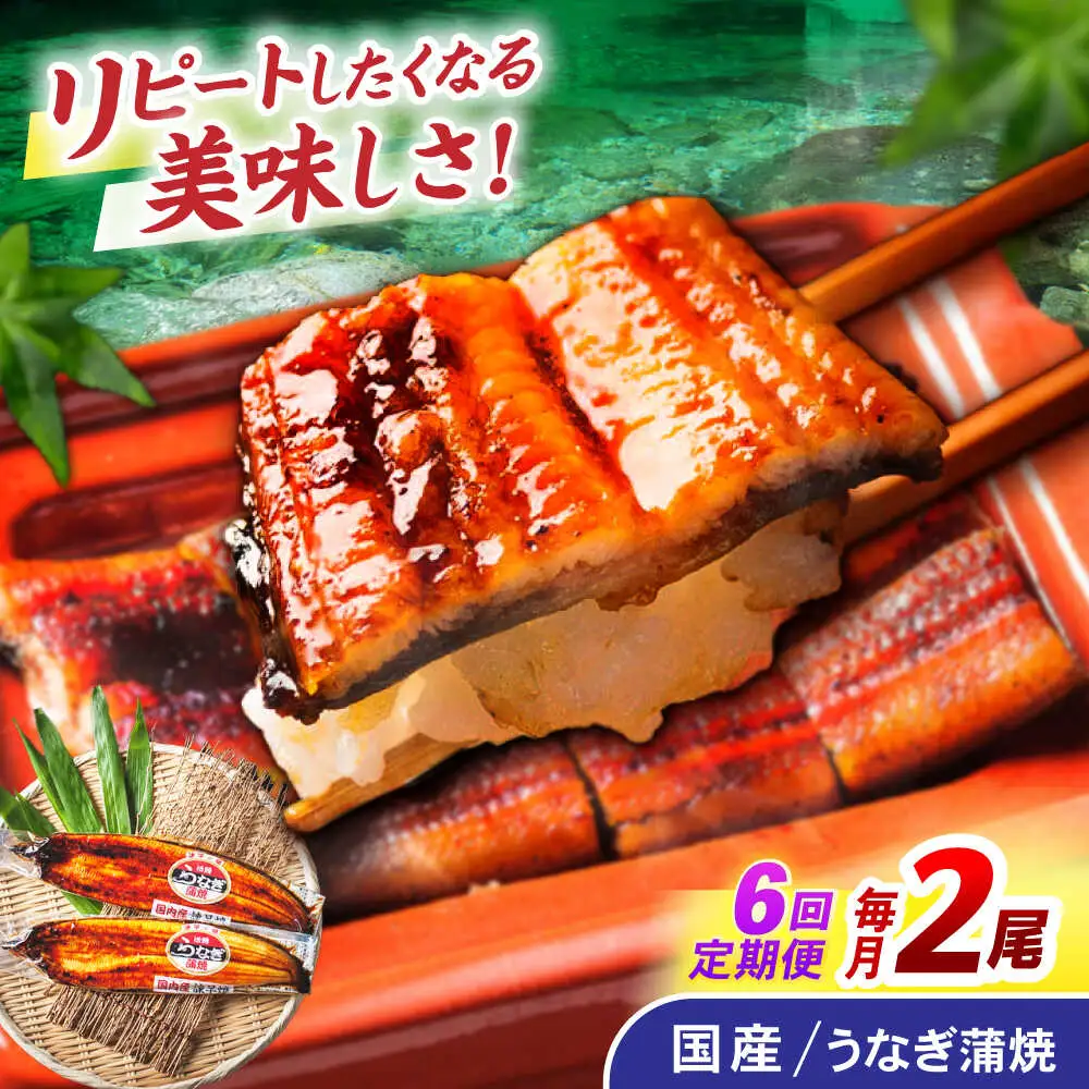 【6回定期便】【諫早淡水】うなぎ蒲焼2尾 / うなぎ ウナギ 鰻 国産うなぎ 国産鰻 蒲焼き 蒲焼 かばやき うな重 うな丼 / 諫早市 / 諫早淡水株式会社 [AHAT025]