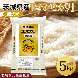 【茨城県共通返礼品】令和7年産 茨城県産 無洗米コシヒカリ5kg【お米 米 こしひかり ごはん 茨城県】（03-51-1）