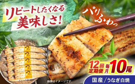 【12回定期便】【諫早淡水】うなぎ白焼き10尾  / うなぎ 白焼き 栄養価 小分け 冷凍 / 諫早市 / 諫早淡水 [AHAT044]