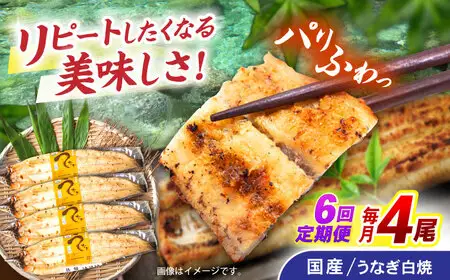 【6回定期便】【諫早淡水】うなぎ白焼き4尾  / うなぎ 白焼き 栄養価 小分け 冷凍 / 諫早市 / 諫早淡水 [AHAT049]