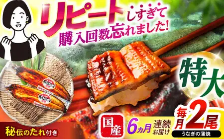【6回定期便】【諫早淡水】特大うなぎ蒲焼2尾 / 特大 うなぎ ウナギ 鰻 国産うなぎ 国産鰻 蒲焼き 蒲焼 かばやき うな重 うな丼 / 諫早市 / 諫早淡水株式会社 [AHAT055]