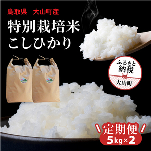 MR-16　減農薬・減化学肥料　特別栽培米こしひかり頒布会（白米5kg×2回）