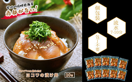 マグロ 幼魚 漬け 10食 計650g マグロ