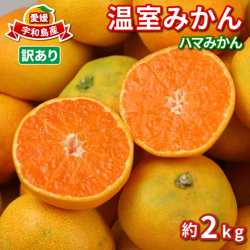 訳あり温室みかん 2kg ハマみかん 温室 B010-075012