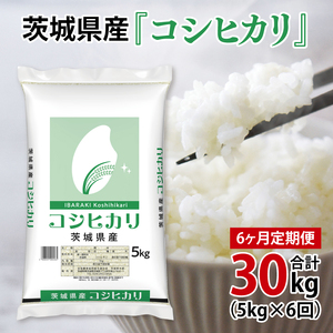 超便利【6ヶ月定期便】計30kg 　令和8年産 茨城県産 コシヒカリ5kg×6回分【お米 コメ こめ こしひかり】(AL261)