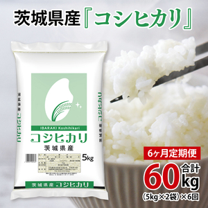 超便利【6ヶ月定期便】計60kg 　令和8年産 茨城県産 コシヒカリ10kg×6回分【お米 コメ こめ こしひかり】(AL262)