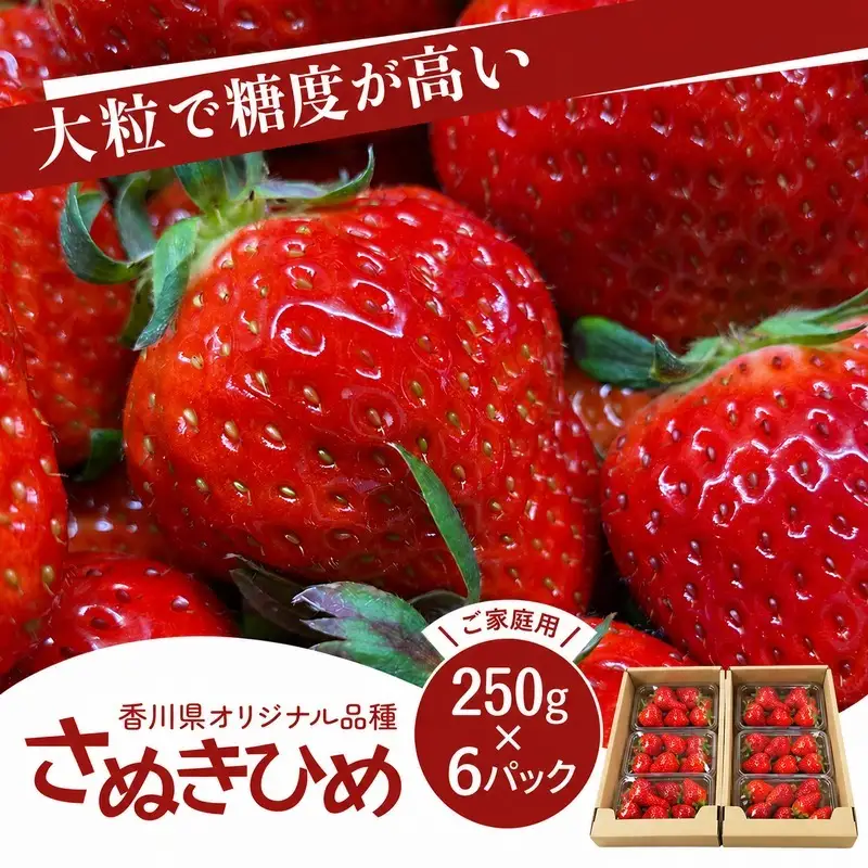 いちご さぬきひめ 家庭用 大粒 いちご【250g×3パック×2箱】 【46312655】