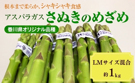 2027年初物予約！  アスパラガス【さぬきのめざめ】約1kg　LM混合