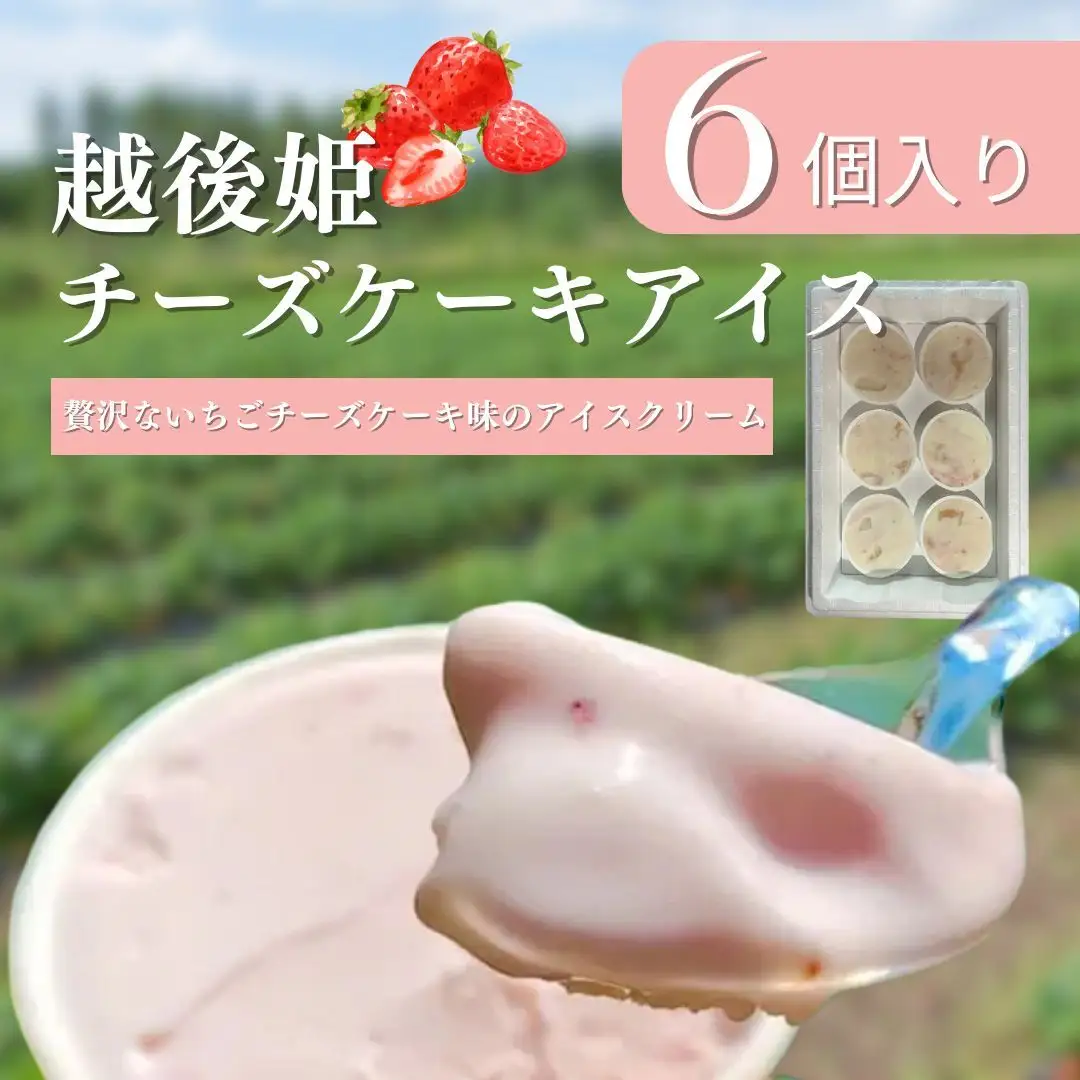 越後姫 苺 チーズケーキアイス 6個入り 冷凍 苺