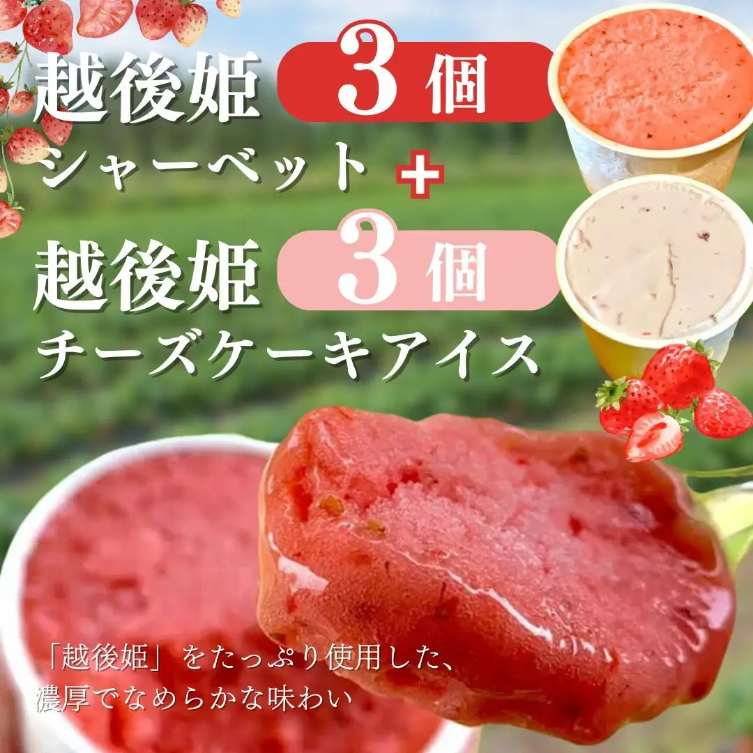 越後姫 苺 アイスセット シャーベット3個 チーズケーキ3個 苺
