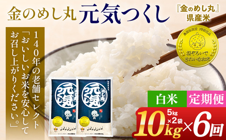 令和8年産 金のめし丸 元気つくし 合計60kg 10kg (5kg×2袋) ×6回 定期便 白米 精米 お米 ご飯 米 精米 お取り寄せ 福岡 お土産 九州 福岡県産 グルメ 福岡県