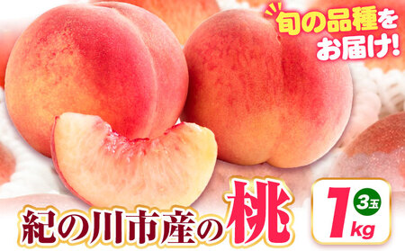【先行予約】桃 紀の川市産 約1kg(3玉) 紀農人株式会社《2027年6月下旬-7月下旬頃出荷》和歌山県 紀の川市 果物 フルーツ 桃 もも モモ 旬