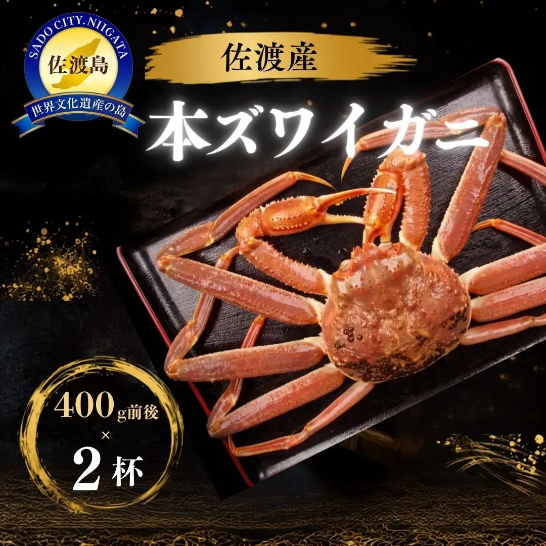 【先行予約】佐渡 ボイル本ずわいがに 800g（400g前後×2）