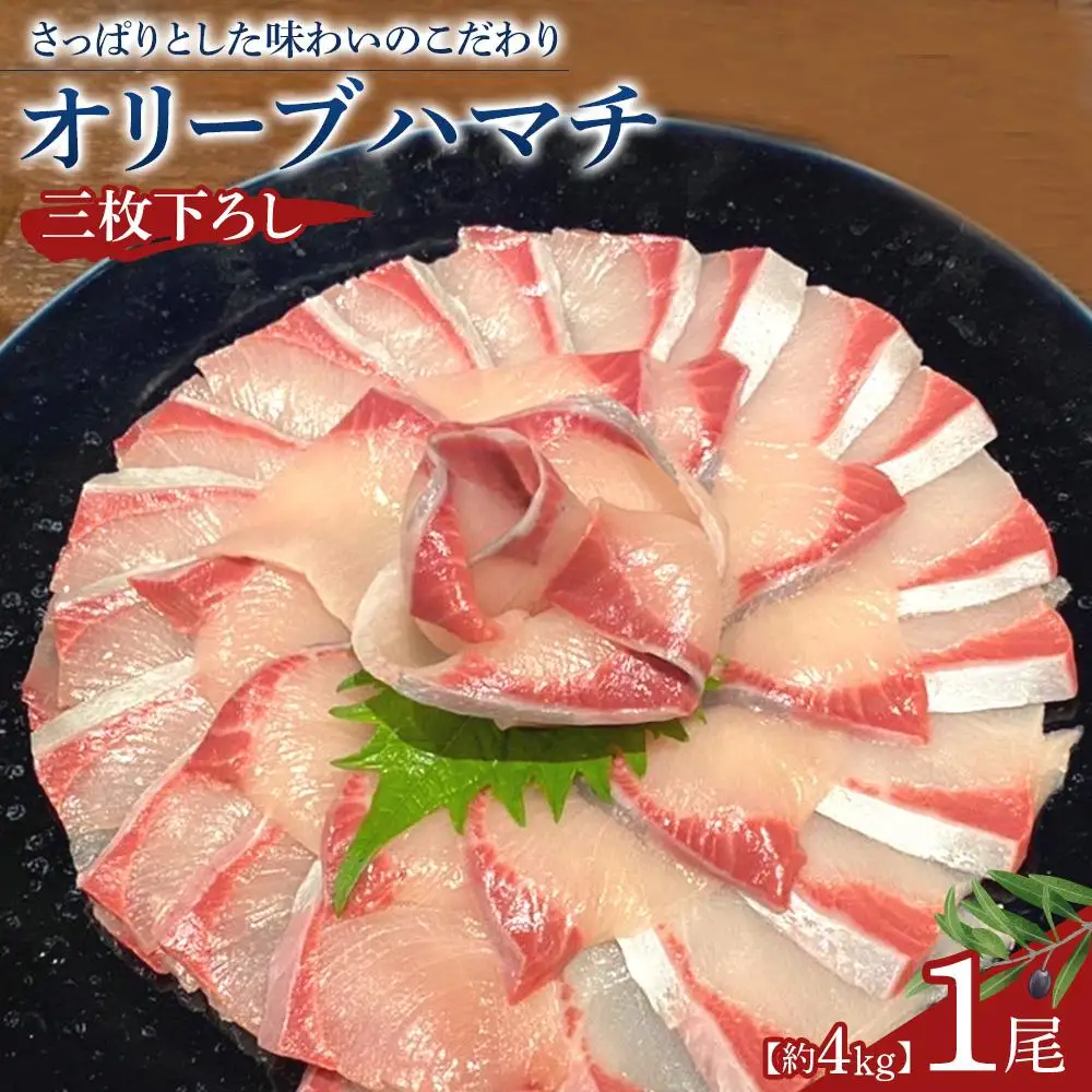 オリーブハマチ1尾三枚下ろし 約4kg