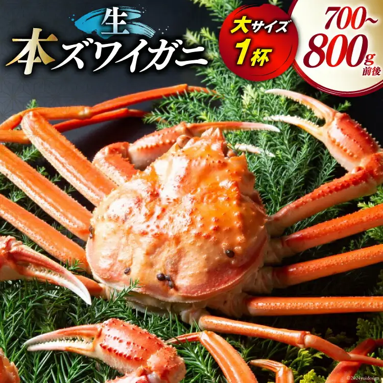 【期間限定発送】 【漁師厳選】生 本ズワイガニ 大サイズ1杯 (700g～800g前後)