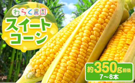 スイートコーン 7～8本 350g前後 わらく農園《2027年6月上旬-6月末頃出荷》