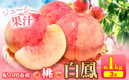 【先行予約】桃 白鳳 紀の川市産 約1kg(3玉入り)  紀農人株式会社《2027年6月下旬-7月下旬頃出荷》和歌山県 紀の川市 果物 フルーツ 桃 もも モモ 旬